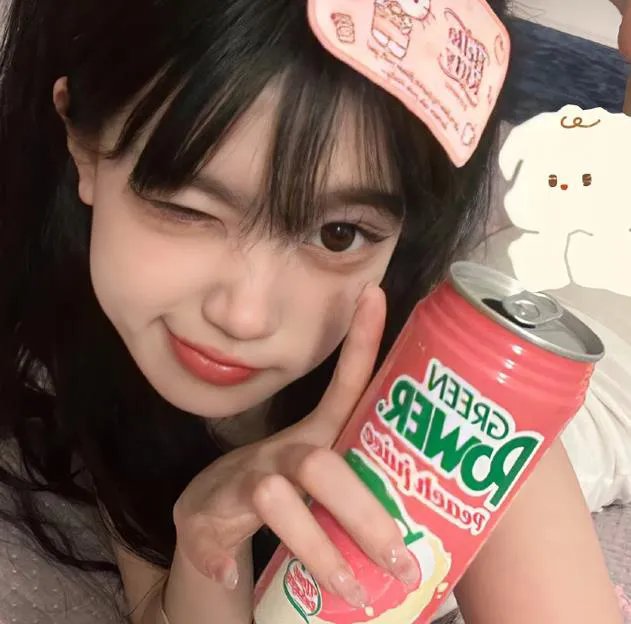 金鹰宝藏
